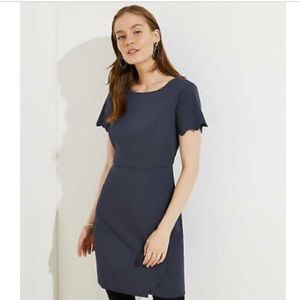 Loft Short Sleeve Scalloped Sheath Dress NWT